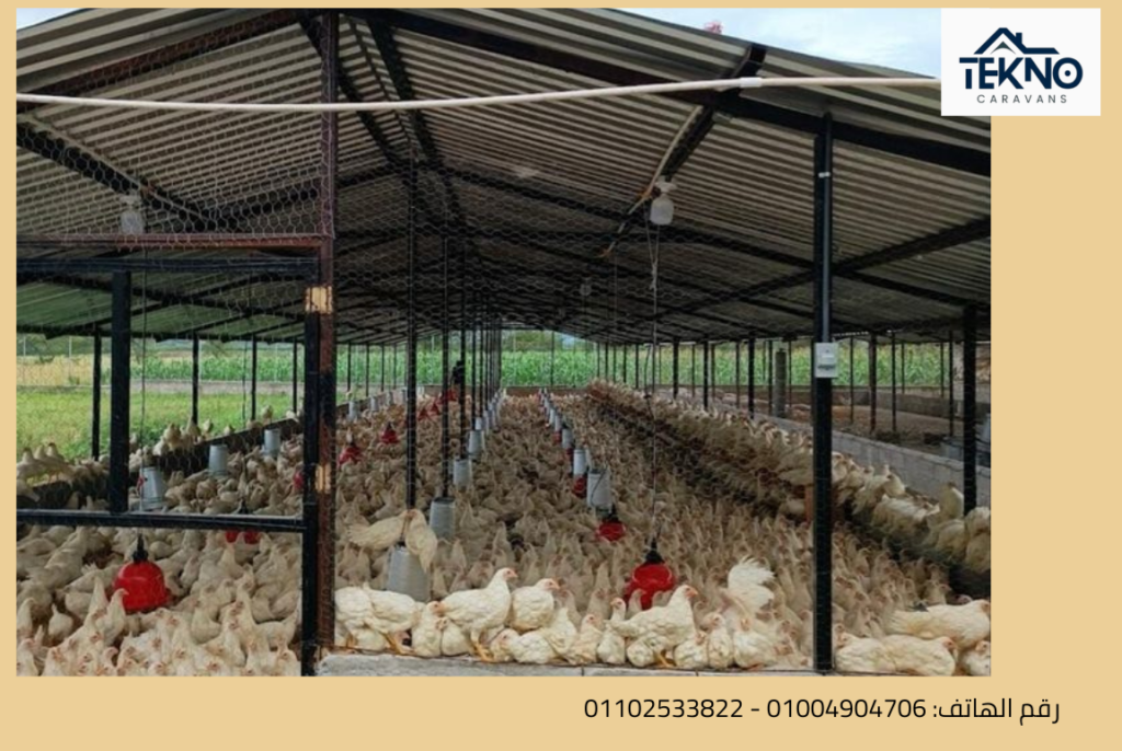 هناجر مزراع دواجن
