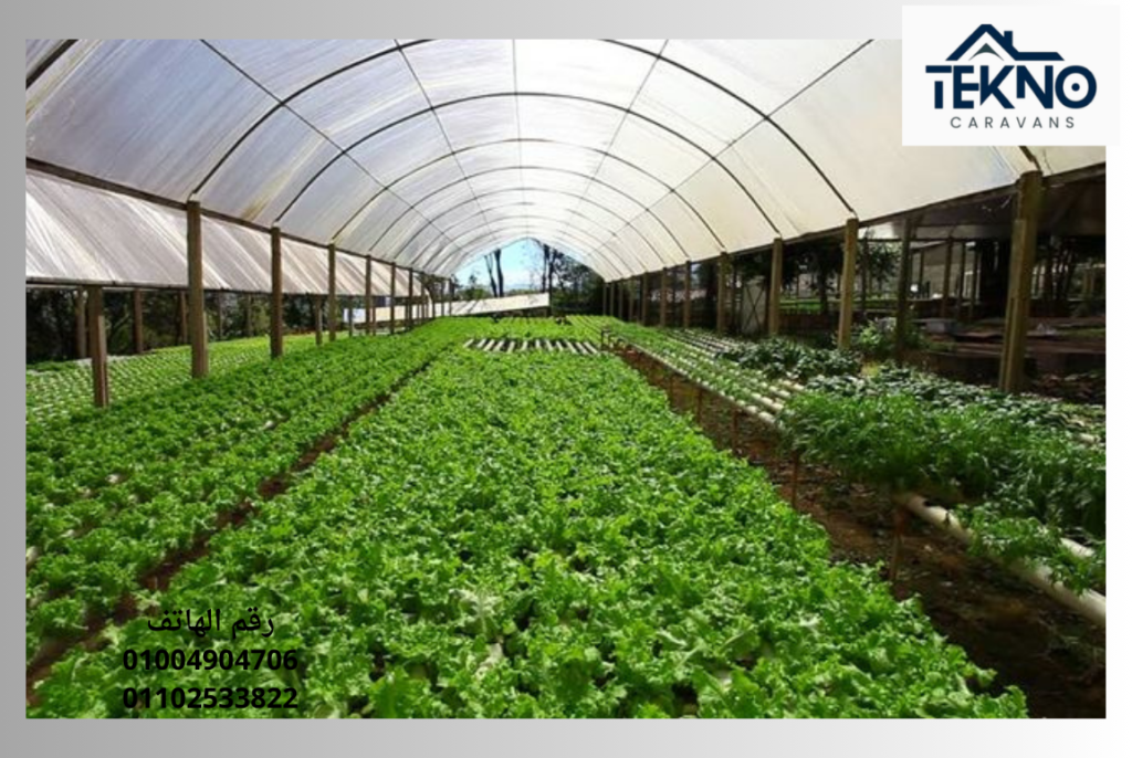 تصنيع هناجر زراعية لتخزين المحصول